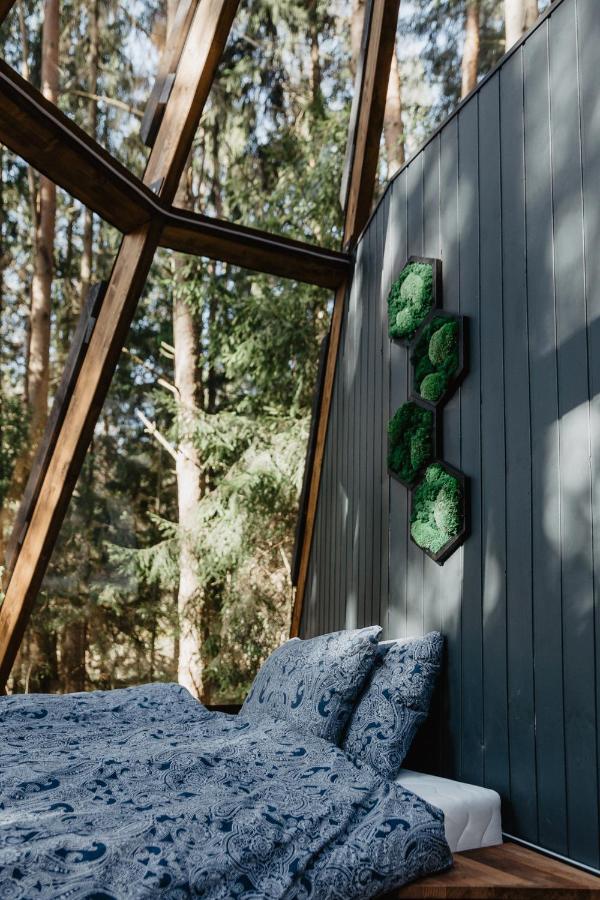 Calltipi Glass House Hébergement de vacances Kalgriauziai